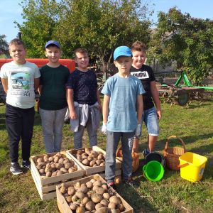 uczniowie z ziemniakami 1
