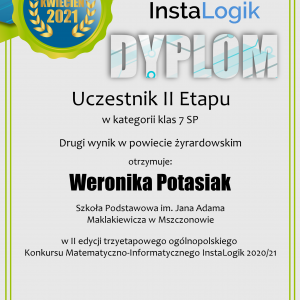 dyplom_instalogik_2_weronika_potasiak (1)