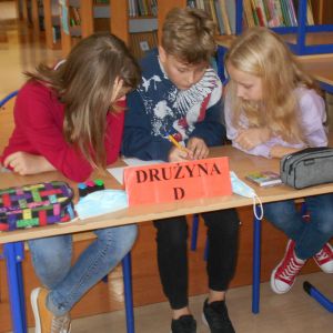 Drużyna D