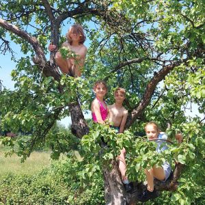 Otwórz zdjęcie: Dzieci siedzący na drzewie.