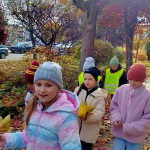 Otwórz zdjęcie - Grupa uczniów zbierających kolorowe liście jesienią.