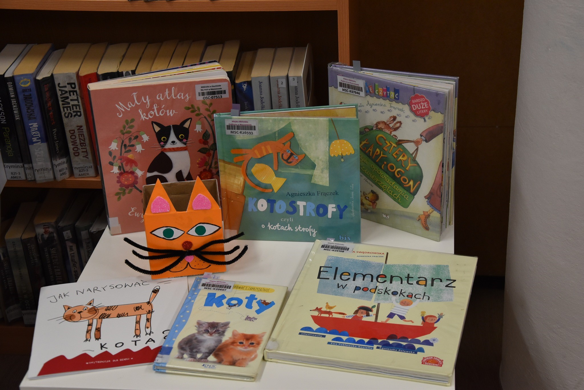 Książki o kotach stojące na stoliku w bibliotece.